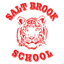 Salt Brook Logo